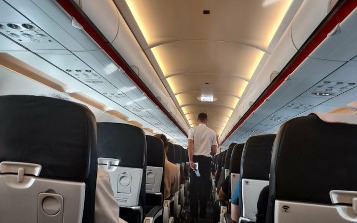 Teckel dans l'avion