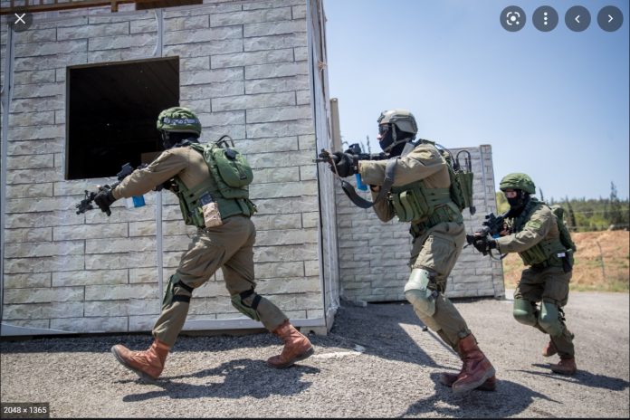 2021-11-12 10_25_46-Unités militaires clandestines Israel – Recherche Google