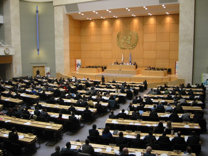 ONU-Wikipedia-File-ONU-gENVA-wsis-696x522