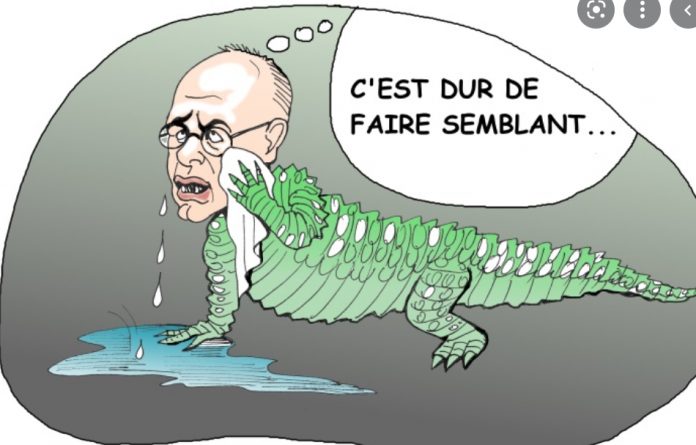 2022-02-06 14_24_36-larmes de crocodile – Recherche Google