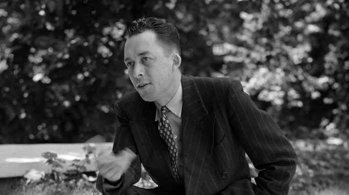 1136_camus2