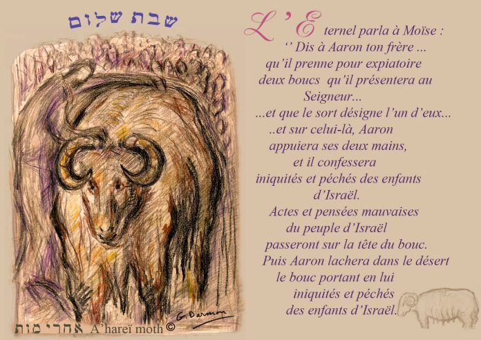 28 A- harei moth c