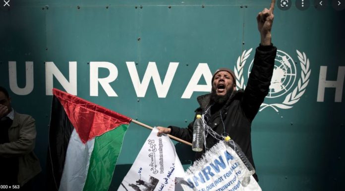 2022-05-17 08_49_09-Unrwa palestiniens – Recherche Google