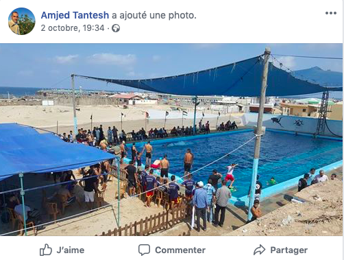 Tantesh_FB_Piscine