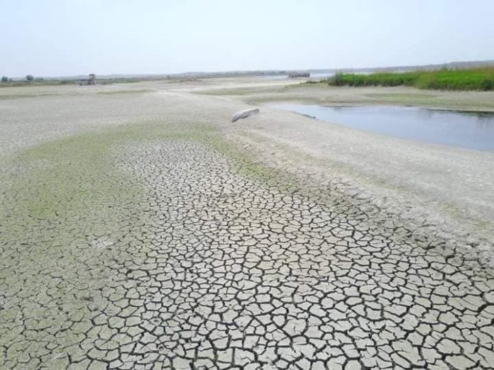 le-nid-du-fleuve-Euphrate-asseche-par-la-Turquie