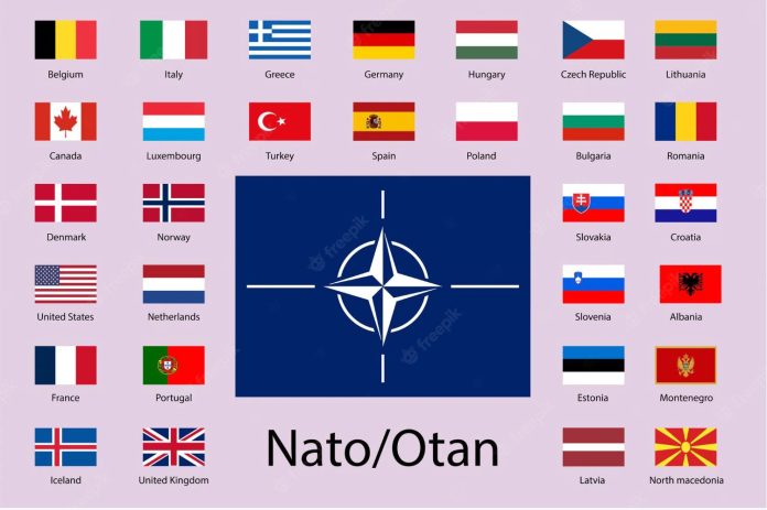 2022-06-27 21_14_34-Drapeau De L'otan Et Tous Les Drapeaux Des Pays Membres Format Horizontal _ Vect