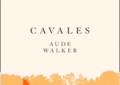 2022-07-19 13_32_16-Cavales, Aude Walker _ Fayard