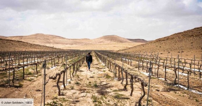 comment-israel-a-transforme-le-desert-du-neguev-en-immense-laboratoire-high-tech