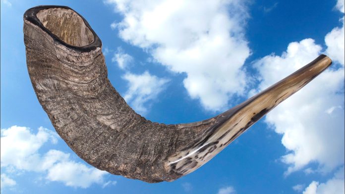 Shofar (Jewish ritual horn) שופר