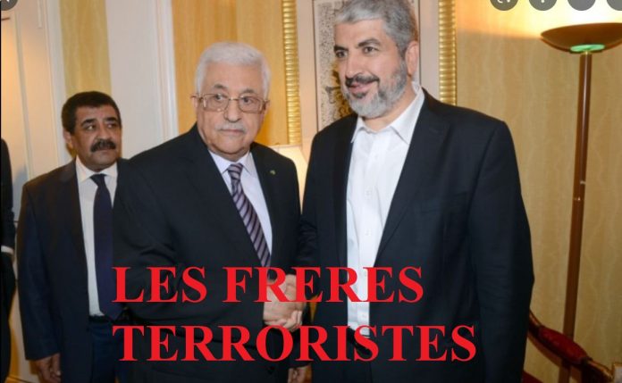 2022-10-04 14_19_47-hamas gaza Gauche – Recherche Google
