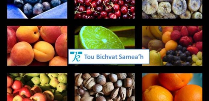 tou-bichvat-hakeshet-1