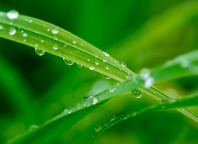 AdobeStock_134447229-696x506-1