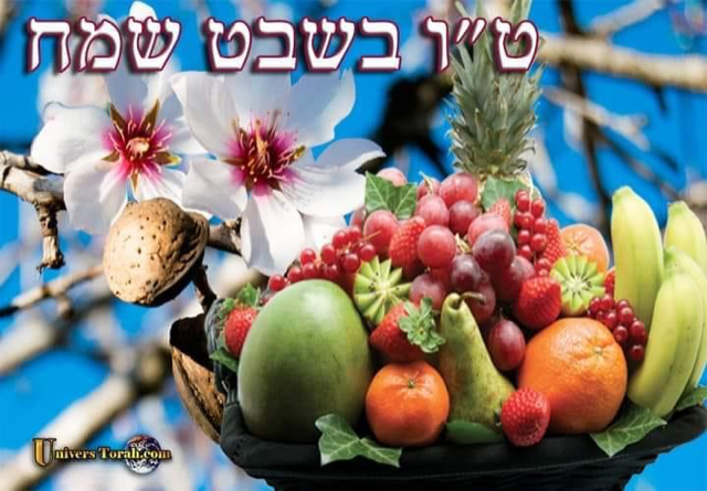 image (4)