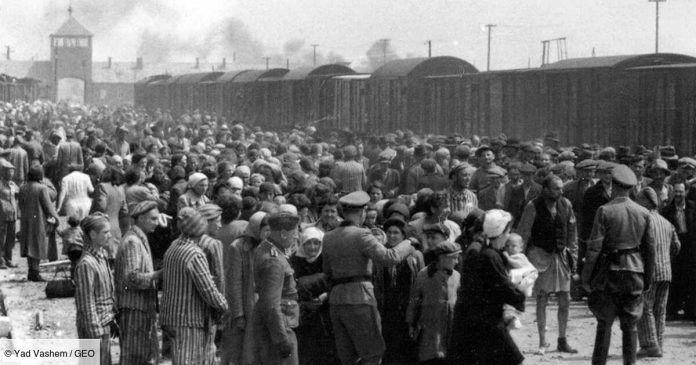 auschwitz-birkenau-louverture-des-archives-permet-de-retracer-le-destin-tragique-de-nombreux-deportes