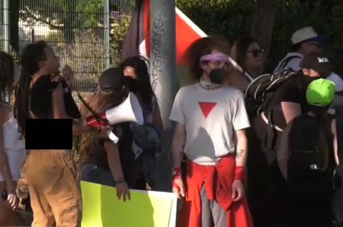 A-group-of-pro-Hams-activists-696x461 (1)