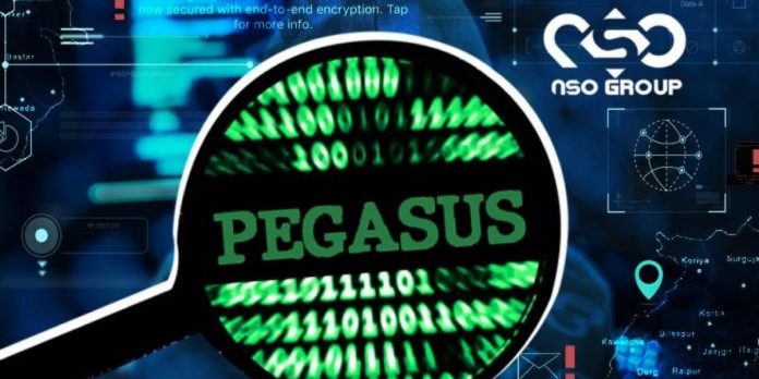 pegasus