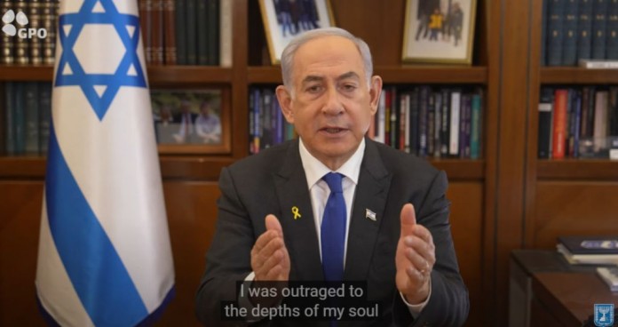 Bibi-696x368