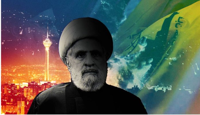 NAIM KASSEM