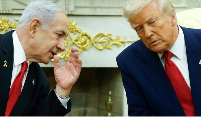 BIBI