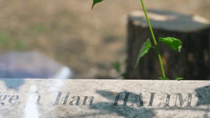 ilan-689f897658ff3476396533