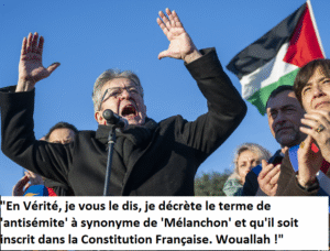 Merluche-002