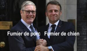 2-fum-lgd